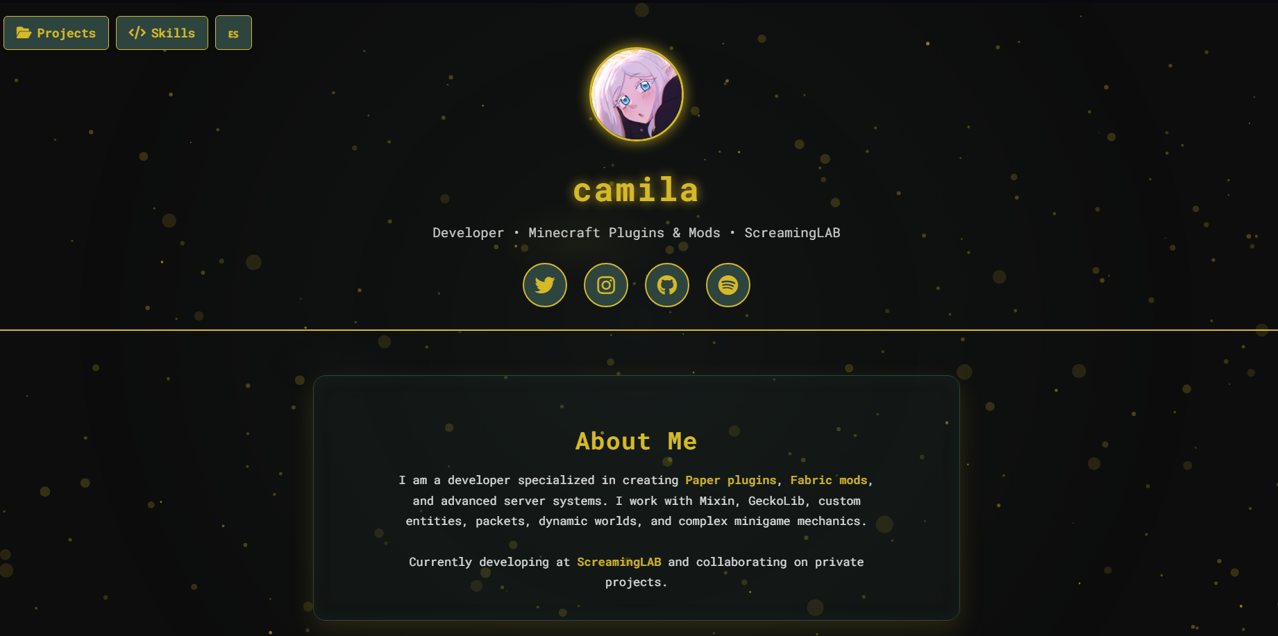 Preview del proyecto